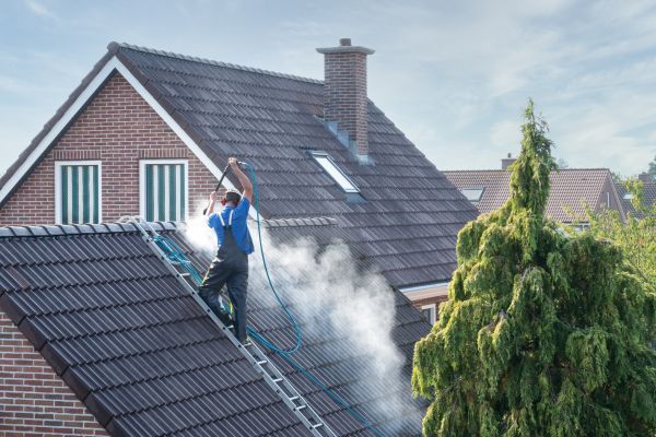 Tampa Roof Cleaning
