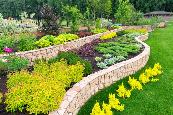 Tampa Landscaping